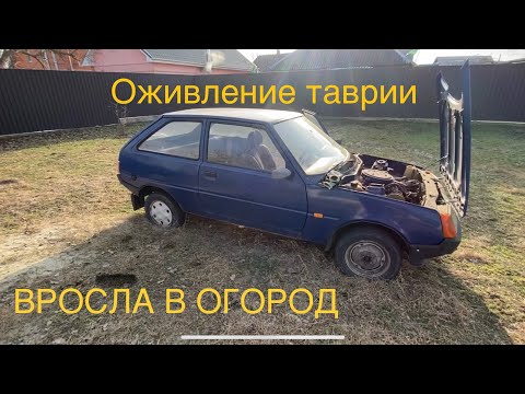 Видео: Оживление. Таврия после длительного простоя.