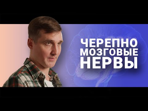 Видео: НЕМНОГО О ЧЕРЕПНО-МОЗГОВЫХ НЕРВАХ. Кирилл Копыльцов
