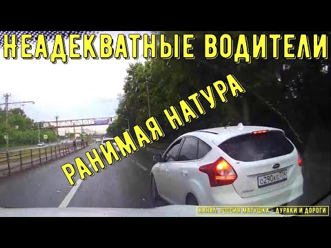 Видео: Неадекватные водители и хамы на дороге #788! Подборка на видеорегистратор!