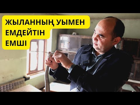 Видео: ЖЫЛАНДАРМЕН ӨМІР СҮРЕТІН ОТБАСЫ / АЛИШЕР ЯРМАТОВ / ДОКТОР КОБРА