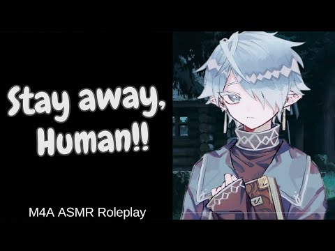 Видео: Помочь раненому эльфу?!┃[M4A] [ASMR] [Ролевая игра] [Фэнтези] [Враги к большему?][Эльф x Человек]