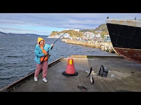 Видео:  Рыба, сама, идёт в руки. 