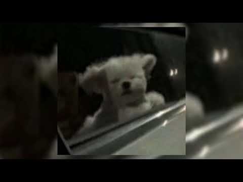 Видео: Miyagi & Эндшпиль - Bounty (speed up)