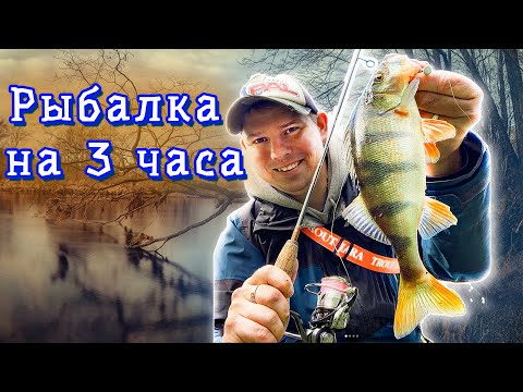 Видео: Ловля окуня на спиннинг осенью на реке.  Денис Вихров.