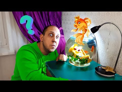 Видео: ТЕЛЕПОРТАЦИЯ это реально? Толик ЗАГАДАЛ ЖЕЛАНИЕ ЗОЛОТОЙ РЫБКЕ.