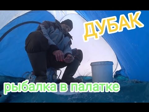 Видео: Особенности рыбалки в палатке. Мороз 31, с ветром.