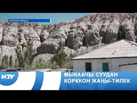 Видео: Мыкаачы суудан корккон Жаңы-Тилек