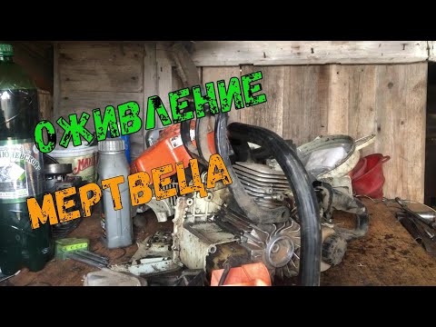 Видео: Оживление мертвеца!!!