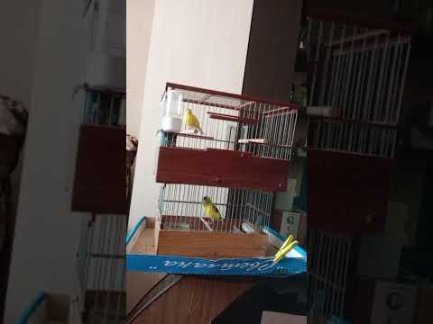 Видео: 7 ноября 2025 г.