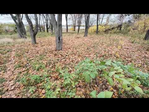 Видео: Хочешь жить.!ХОВАЙСЯ от ТЦК!!!