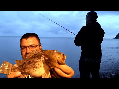 Видео: Рыбалка на черном море с берега на спиннинг. Самый простой способ ловли рыбы в черном море.