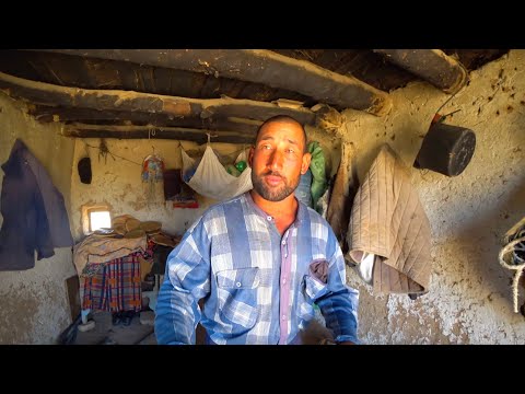 Видео: Узбекистан! Как нас чуть не арестовали! Бухарские пустыни! Жизнь пастухов!