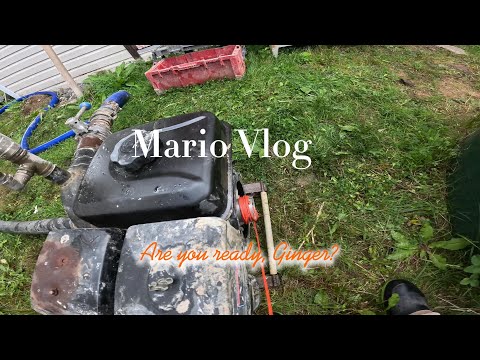 Видео: Орехово