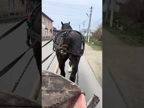 Видео: Всі деталі за номером телефону +380 (68) 669 06 84