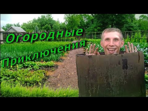 Видео: ОГОРОДНЫЙ СТРИМ,КИРЮХА ЧИТАЕТ РЕЙП В БОЧКЕ(НАРЕЗКА СТРИМА)
