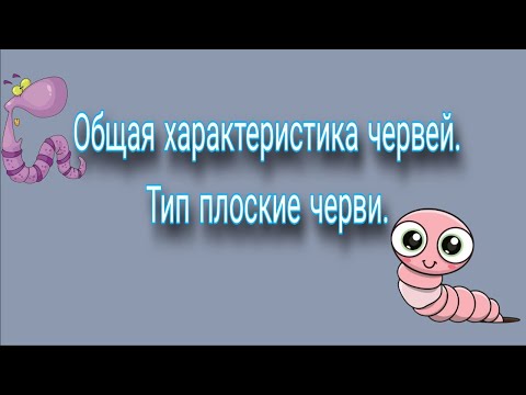 Видео: Общая характеристика червей. Тип плоские черви.