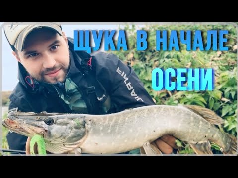 Видео: РЫБАЛКА НА ЩУКУ В НАЧАЛЕ ОСЕНИ !!!