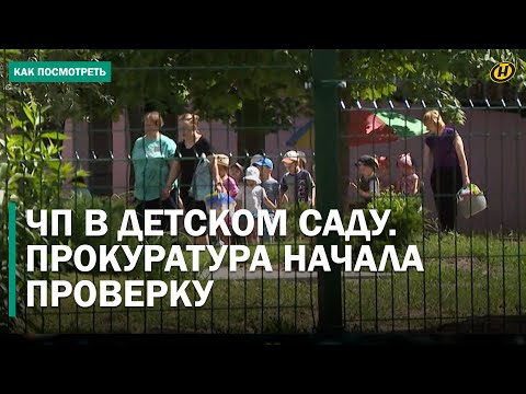 Видео: ПЕСКОМ КОРМИЛА? В детсаду Могилева жестко обошлись с детьми. Но так ли все однозначно?