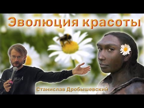 Видео: Эволюция красоты - Станислав Дробышевский.