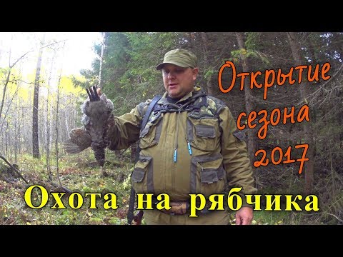 Видео: Охота на рябчика. Открытие охоты по боровой дичи 2017. Охота на перепела.