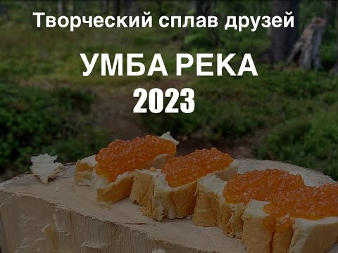 Видео: Умба река 2023. Пороги, природа, рыбалка, команда друзей.