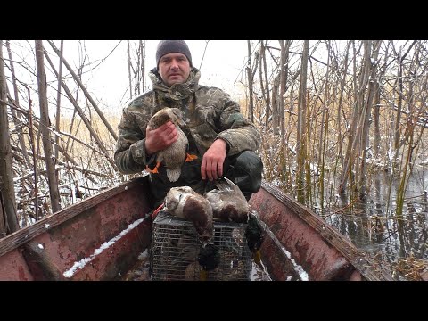 Видео: ВЕСЕННЯЯ ОХОТА НА УТКУ 2022! Охота с чучелами и подсадной уткой!!! РАЗВЕДКА!!! Часть ПЕРВАЯ...