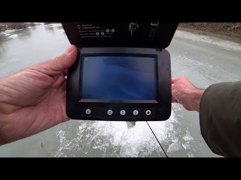 Видео: ТОННЫ РЫБЫ ПОДО ЛЬДОМ: но есть одно НО...