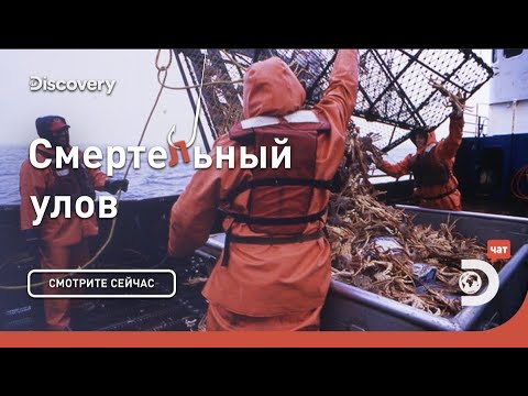 Видео: Начало | Смертельный улов | Discovery