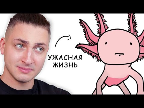 Видео: Почему плохо родиться АКСОЛОТЛЕМ - реакция Градуса и Вазачки