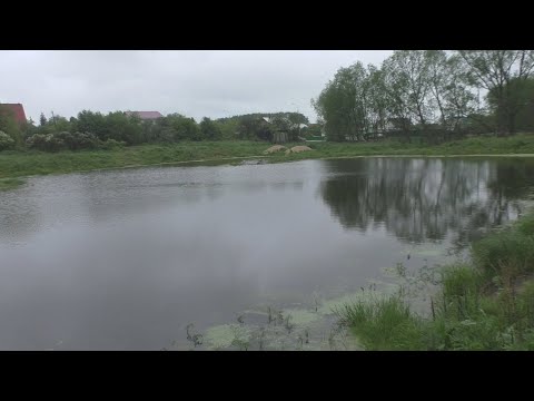 Видео: Очистка деревенского пруда: ожидание и реальность