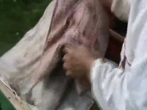 Видео: Универсальный улей Кузнецова 3