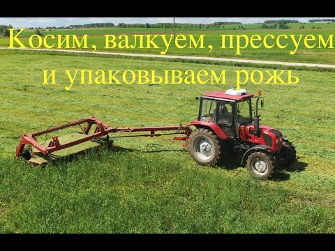 Видео: Косим рожь по ржи по навозу