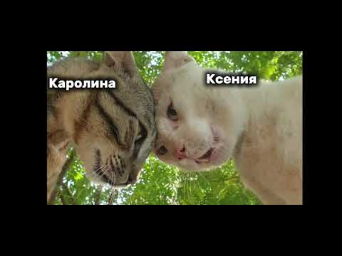 Видео: Проходим карту в майнкрафт 