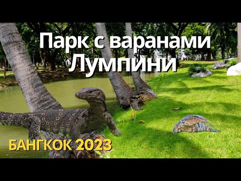 Видео: Парк с Варанами Лумпини Бангкок 2023 Тайланд