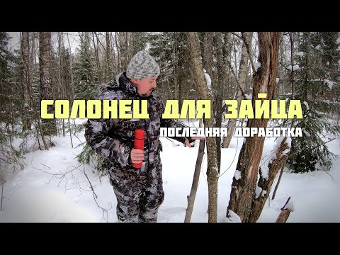 Видео: Солонец для зайца. Последняя доработка.