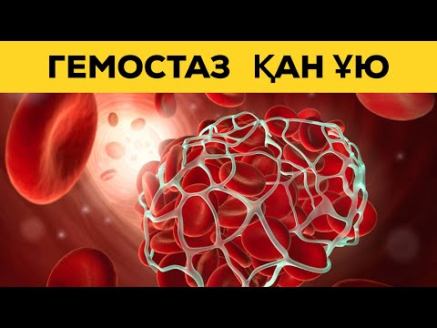 Видео: ГЕМОСТАЗ | ҚАН ҰЮ МЕХАНИЗМІ