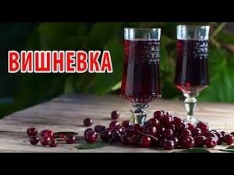 Видео: Ищем землю. Вишневка. Земельный участок на продажу.