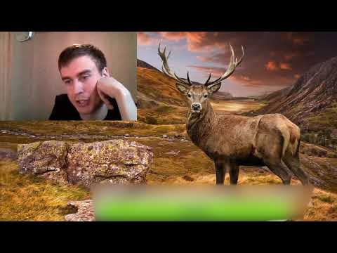 Видео: ЗАМЕСТИТЕЛЬНЫЕ ОТНОШЕНИЯ развиваются стремительно и быстро. Почему?