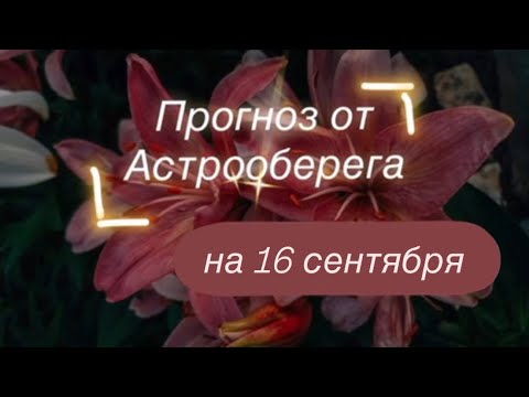 Видео: Лера Астрооберег делает прогноз на 16 сентября. 🔮 Смотрите сейчас! Главные енергии дня!