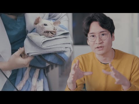 Видео: 25% вероятность смерти в течение 7 дней из-за «иммуноопосредованного менингита»