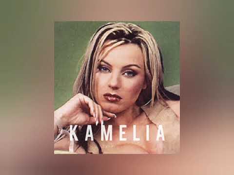 Видео: Камелия - Ти Си Виновен (Kamelia - It's Your Fault) + TEXT #ovojebalkan #kamelia #retrochalga