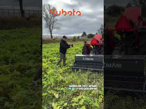 Видео: Трактор Кубота L3408 за 1.8млн рублей на 35 сил  #трактор #минитрактор #kubota #гарденсток