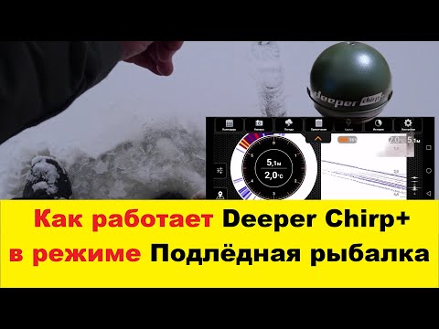 Видео: Тест эхолота Deeper Chirp+ в режиме подлёдная рыбалка.How Deeper Chirp+ works in Ice fishing mode.