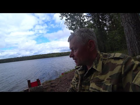 Видео: озеро Сенновское. Рыбалка 20.06.2024.