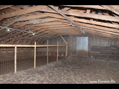 Видео: Гусятник на 1000 голов. Хозяйство Гридневых