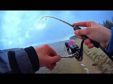 Видео: Самоизоляция на Рыбалке! Спиннинг с Берега в Запрет. Окунь.