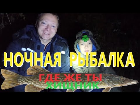 Видео: Ночная рыбалка на Даугаве / Пытаемся с другом поймать хищника / Латвия Прибалтика 4к