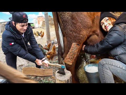 Видео: 24 ЧАСА ВЫЖИВАЕМ В СЕЛЕ