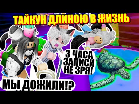 Видео: ЗАВЕЛИ ЧЕРЕПАХУ, НО ЭТО СЛИШКОМ ДОРОГО ОБОШЛОСЬ!