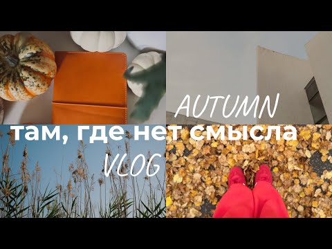 Видео: Когда смысла нет: почему мы любим усложнять жизнь? Vlog 